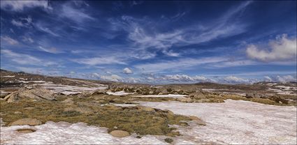 Near Seamans Hut - Kosciuszko NP - NSW T (PBH4 00 10520)